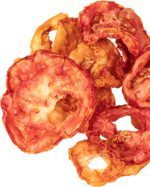 HocIns_No_8_Zifru-getrocknete-Tomaten