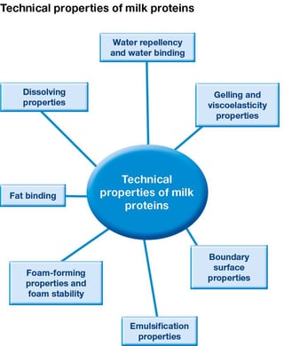 Technical_Milk-proteins