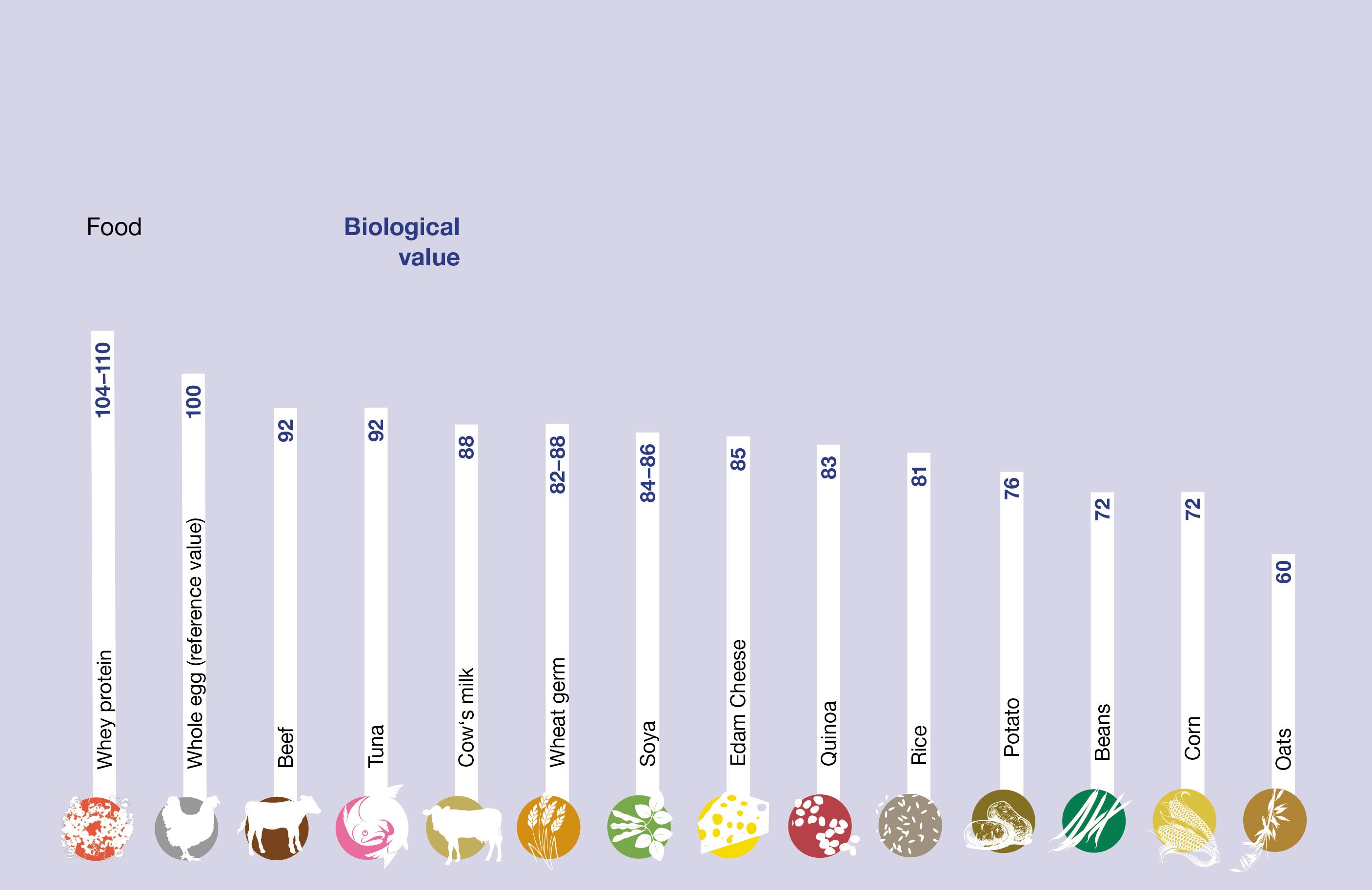 Chart biological value of foods