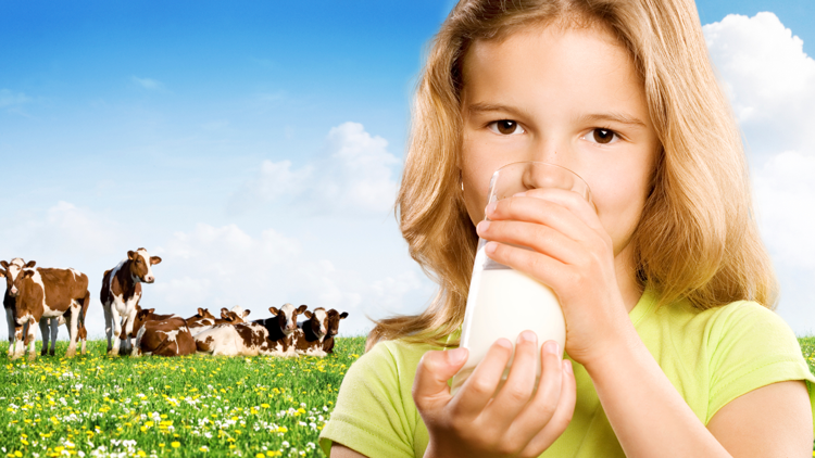 HocIns_No_1_Artikel_Online_Milchnachfrage-steigt-weltweit