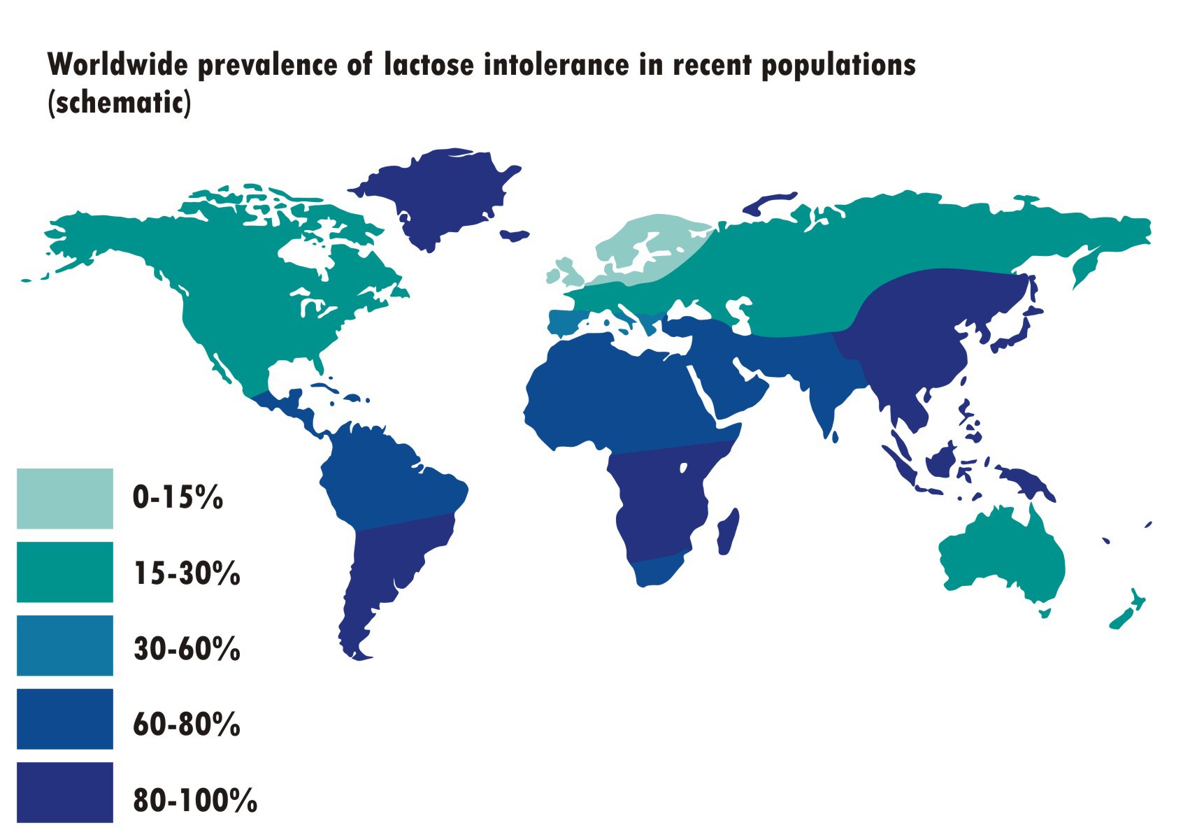 Geografische Verteilung Laktoseintoleranz